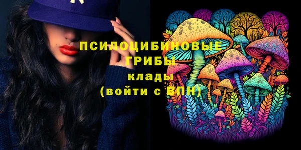 стафф Белокуриха