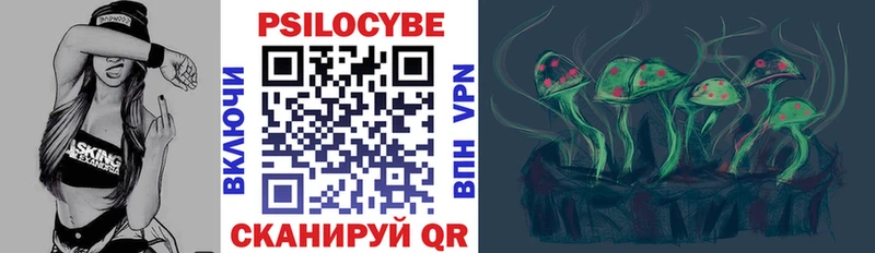 Псилоцибиновые грибы Psilocybine cubensis  KRAKEN   Гатчина 