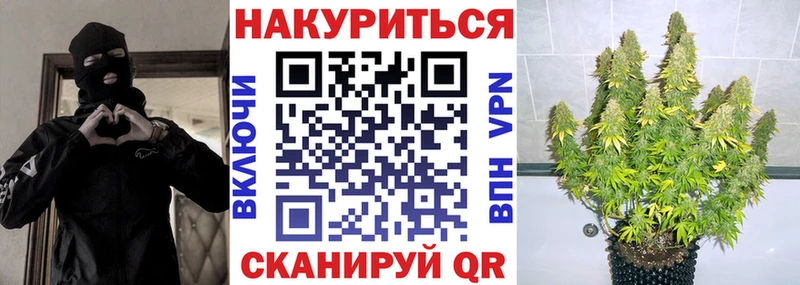 Конопля сатива  Гатчина 